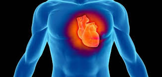 النمر محذرًا من التوتر الوظيفي: يزيد نسبة اختلال نبضات القلب