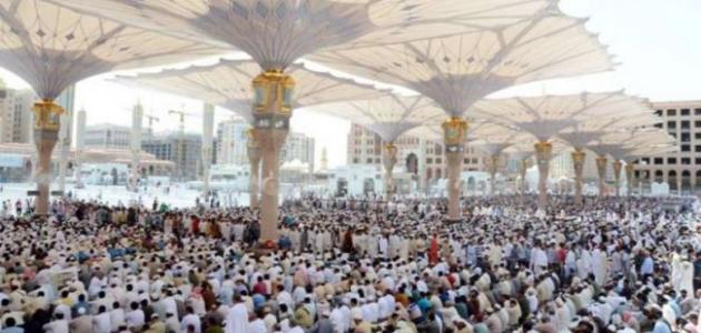 نصف مليون مصلٍ يؤدون آخر جمعة في العام الهجري بالمسجد النبوي