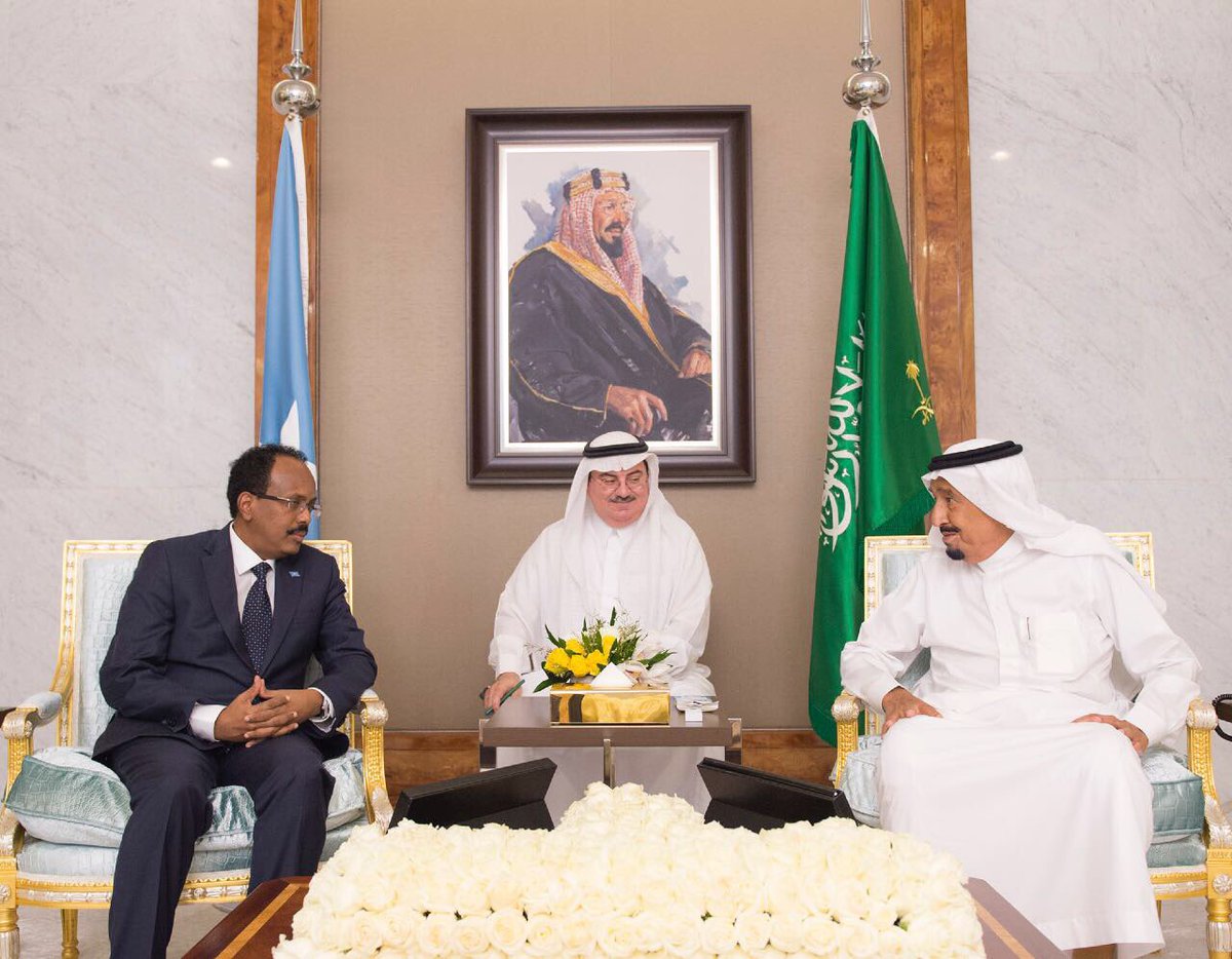 الملك يبحث العلاقات الثنائية مع الرئيس الصومالي