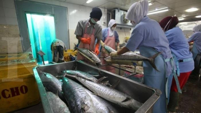 المملكة بوابة إندونيسيا لتسويق ثروتها السمكية في الشرق الأوسط