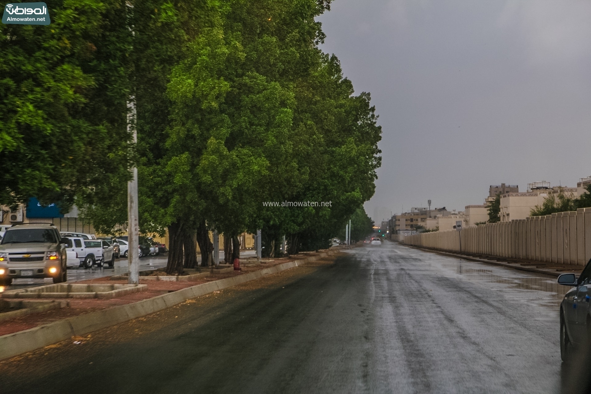 توقع بزخات من الأمطار على مناطق سعودية