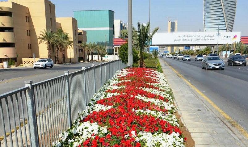 امانة الرياض تزين شوارع العاصمة بالزهور (2)
