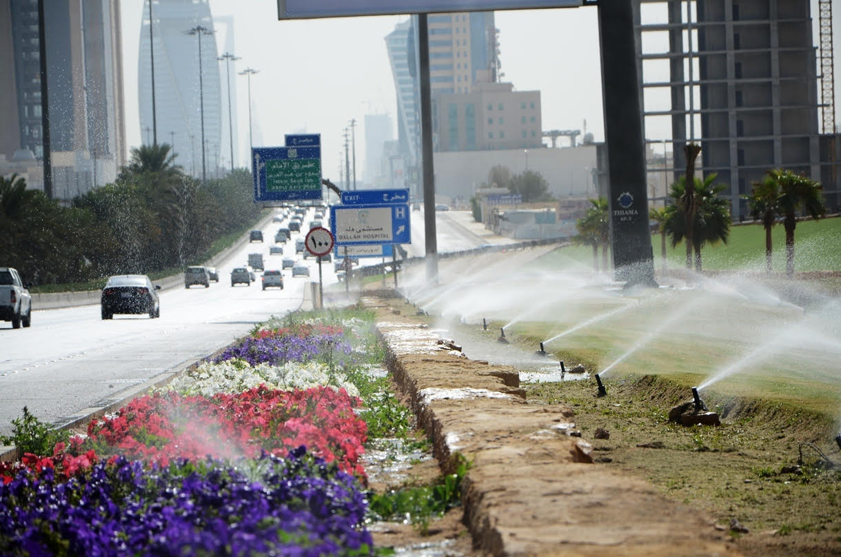 زرع ثلاثة ملايين زهرة في ميادين وشوارع #الرياض