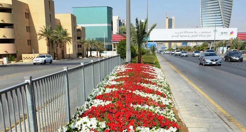 امانة الرياض تزين شوارع العاصمة بالزهور (4)