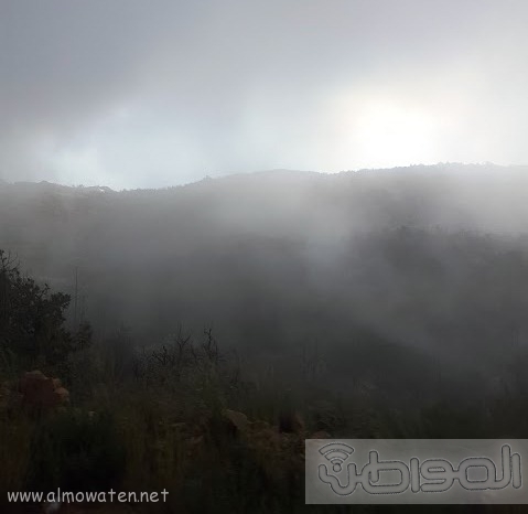 أمطار مصحوبة بزخات البرد على الباحة