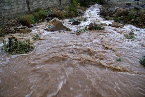 أمطار خفيفة على الباحة