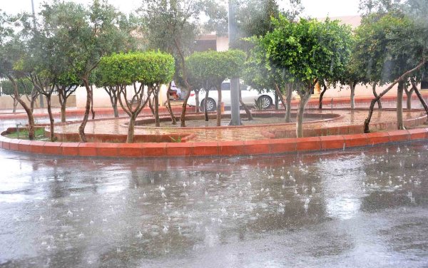 شاهد بالصور .. الطائف تحت زخات المطر