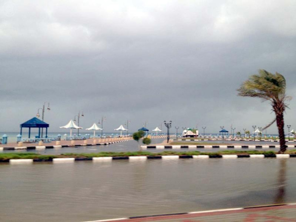 أمطار غزيرة على معظم محافظات #تبوك وضواحيها
