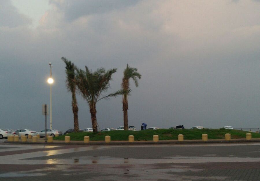 الأرصاد تحذر: أمطار رعدية ورياح ترابية بأغلب مناطق المملكة