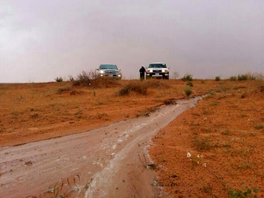 تشهد قرى جنوب مدينة حائل الآن هطول أمطار غزيرة صاحبها زخات من البرد وسالت على إثرها الأودية والشعاب.