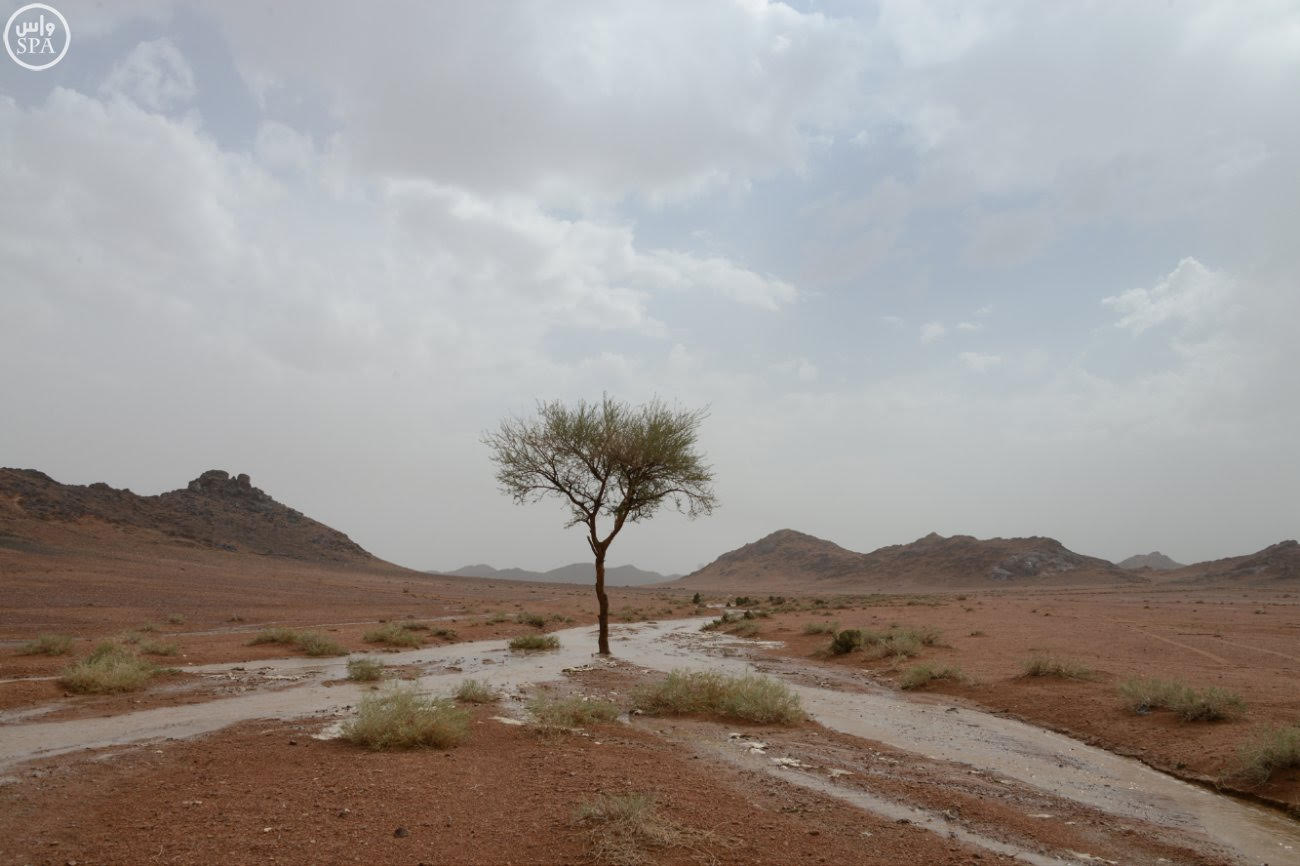 تنبيه من سحب رعدية وأتربة مثارة تعيق الرؤية على هذه المناطق حتى منتصف الليل