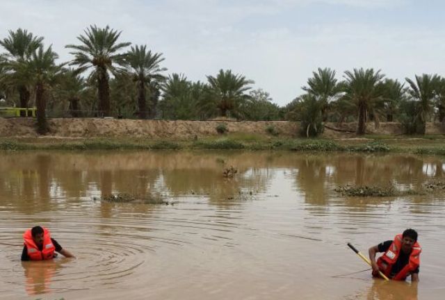 انتشال جثة طفل غرق بحفرة ماء داخل مزرعة والده بصمخ