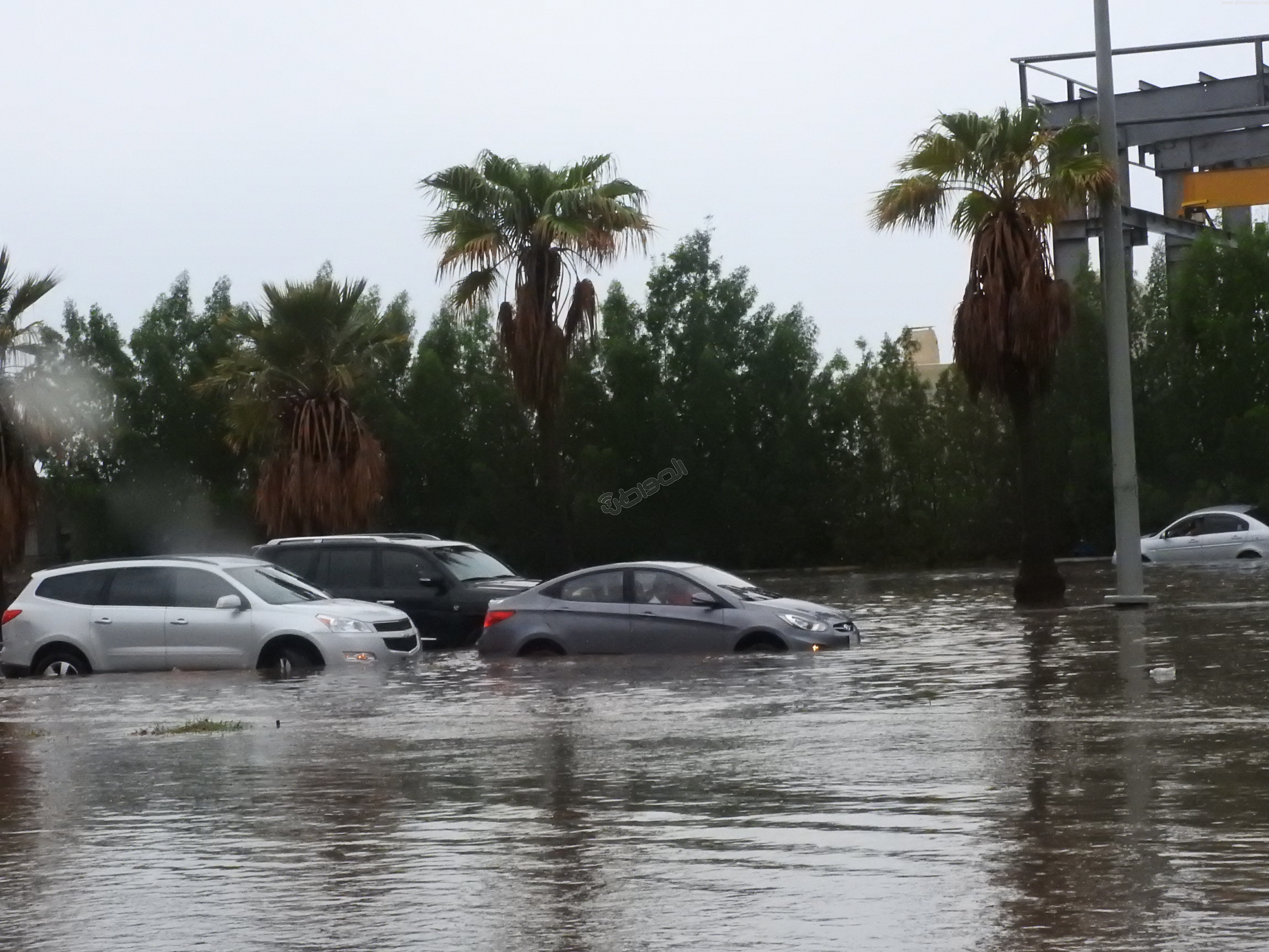 عضو سابق بهيئة التحقيق والادعاء: الجهات الرقابية المتهم الأول في سيول #جدة