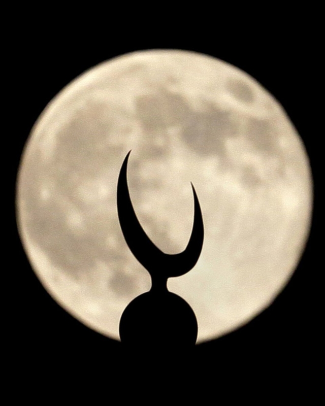 بدر البدور
