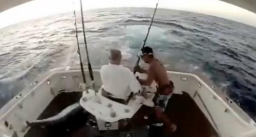 بالفيديو.. سمكة على القارب وصيادها في البحر