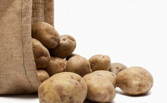 4 شروط وضوابط لتصدير المنتجات المصنعة من البطاطس والذرة