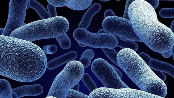 3 وفيات و71 إصابة ببكتيريا الفيلقية في بولندا