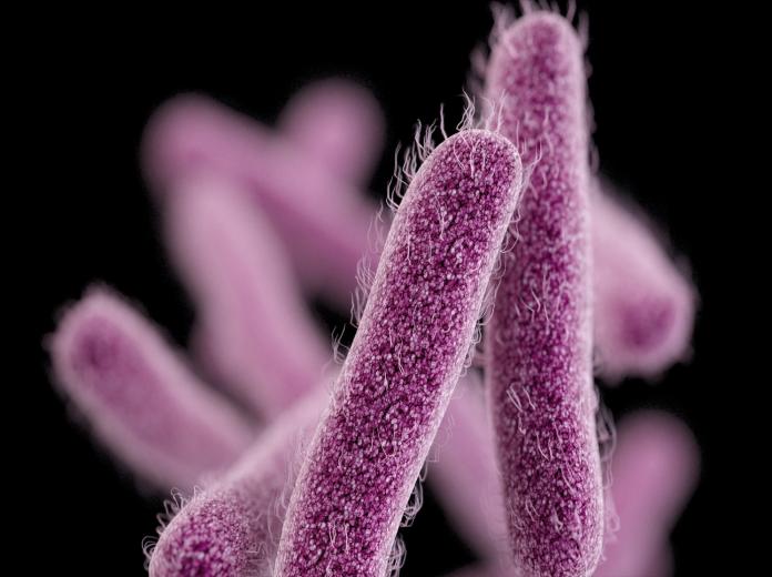حارب البكتيريا بـ”النحاس”