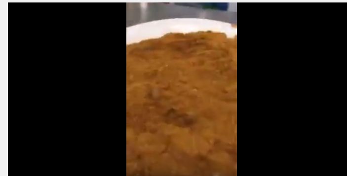 مواطن يوثق بالفيديو “صراصير” في بهارات مطعم شهير