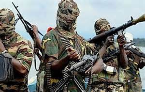 قال نائب حاكم ولاية بورنو النيجيرية، إن متشددي جماعة بوكو حرام سيطروا مجددا على بلدة مارتي بالولاية بعد تحريرها في فبراير .