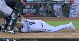 بالفيديو.. ضربة وجه عنيفة للاعب بيسبول أسقطته أرضاً
