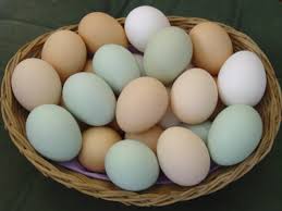 تناول البيض صباحًا يقلل الإصابة بالسكتة الدماغية