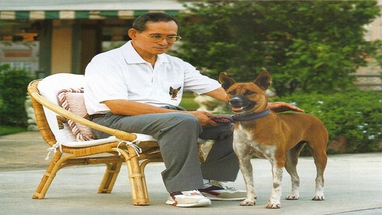 بعد رفقة دامت 17 عاماً.. ملك #تايلاند حزين لموت كلبه
