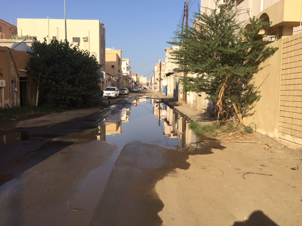بالصور.. مياه الصرف تحاصر سكان حي الروضة مجددًا في #جازان