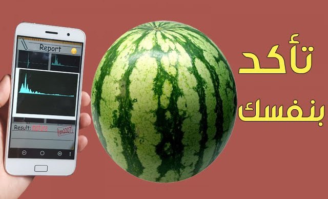 بالفيديو .. تطبيق هاتفي يساعدك على شراء البطيخ