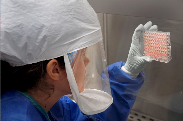 تطعيم الدواجن .. خطوة الصين الأحدث لمكافحة إنفلونزا الطيور