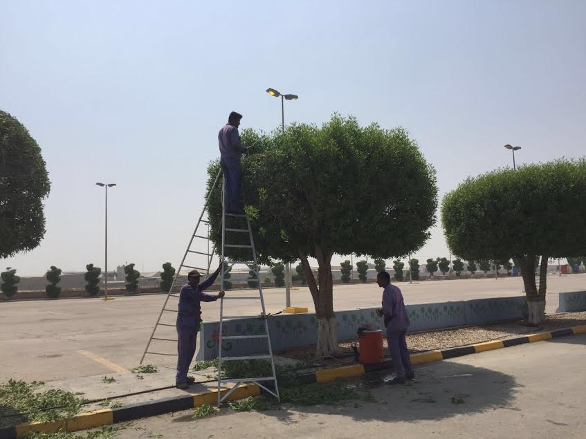 بالصور.. 50 ألف متر مُسطحات خضراء ضمن تطوير منتزه الملك فهد بالدمام