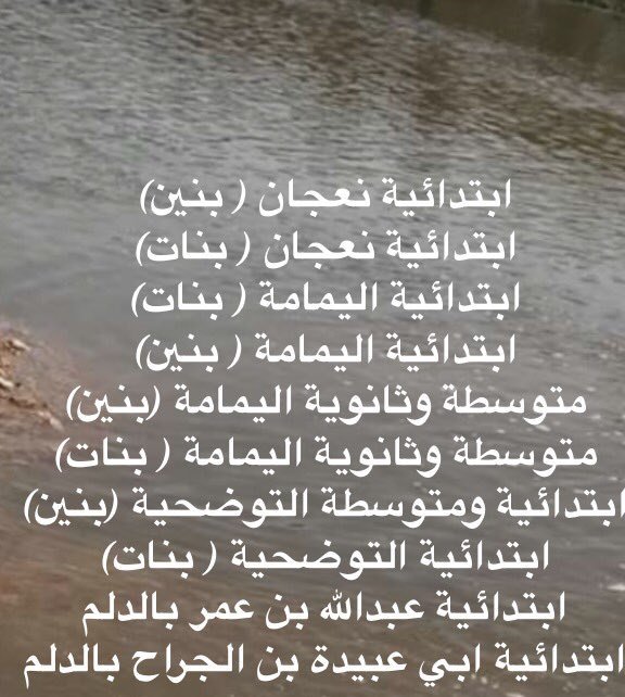 تعليق دراسة