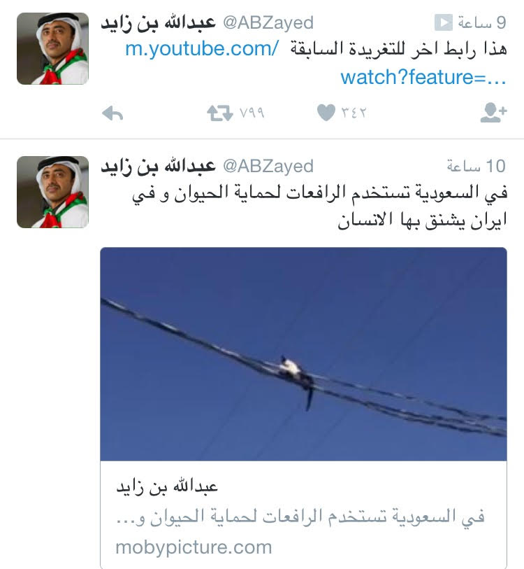 تغريدة وزير خارجية الامارات عبدالله بن زايد رافعات السعودية لانقاذ الحيوان ورافعات ايران لشنق الانسان