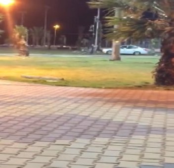 بالفيديو.. شاب يمارس التفحيط في حديقة عامة بأبها.. والمرور يتفاعل