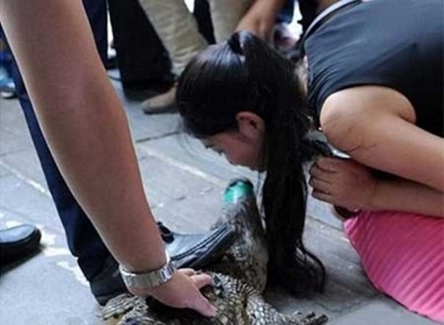 بالصور.. تقبيل التمساح.. شرط التعيين في شركة صينية