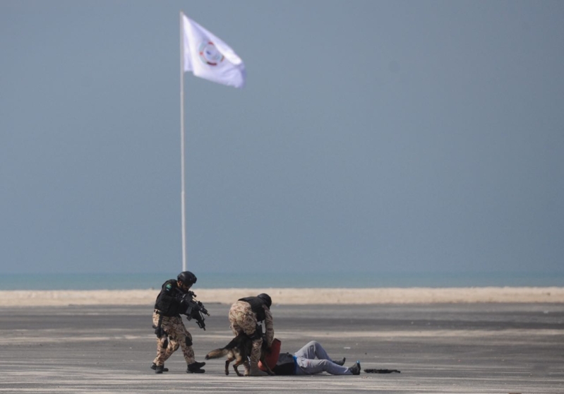 تمرين أمن الخليج العربي 3