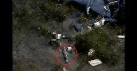 فيديو مروع.. تمساح يلتهم جثة ضحية تحطم طائرة