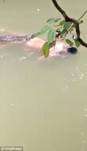 بالصور .. مشعوذ يستدعي تمساحًا لاستخراج غريق!!