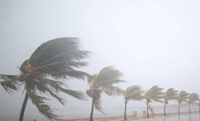 بالصور.. عواصف عاتية تجتاح جزر فلوريدا مع اقتراب إعصار إرما