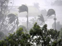 بالصور.. إعصار يقطع الكهرباء عن 25 ألف منزل في أستراليا