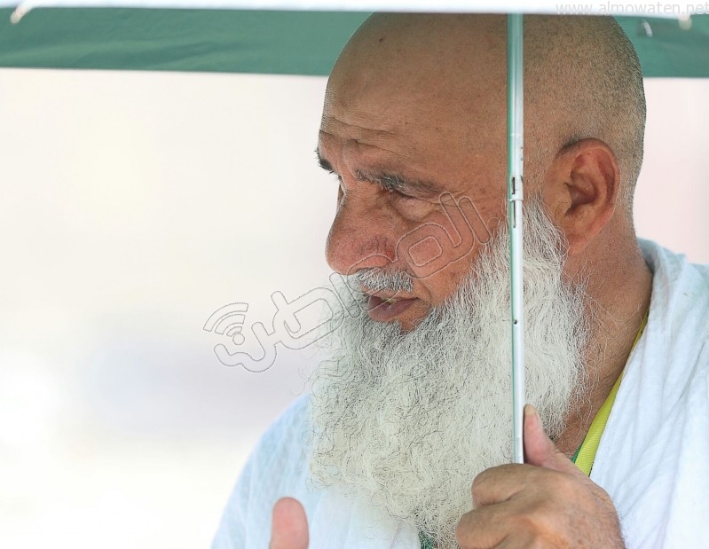 توافد-ضيوف-الرحمن (17)