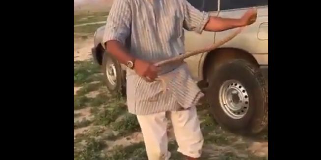 مواطن يصطاد ثعباناً كاد يهاجمه بحديقة في الرياض