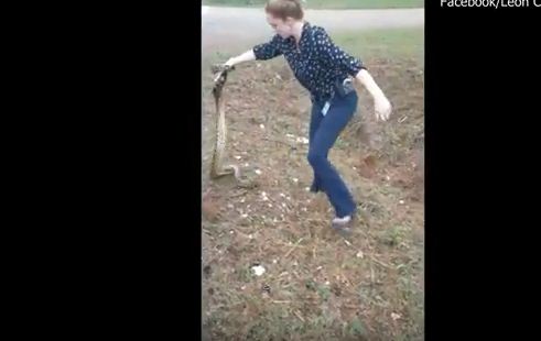 بالفيديو.. امرأة شجاعة تمسك ثعبانًا طوله 9 أقدام بيديها