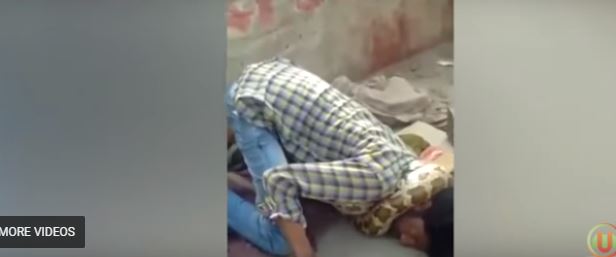 بالفيديو.. ثعبان يخنق مدربه والجماهير تكتفي بالتصوير