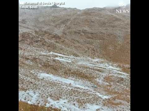 بالفيديو.. قناة أميركية ترصد لقطات مذهلة لتساقط الثلوج على المملكة