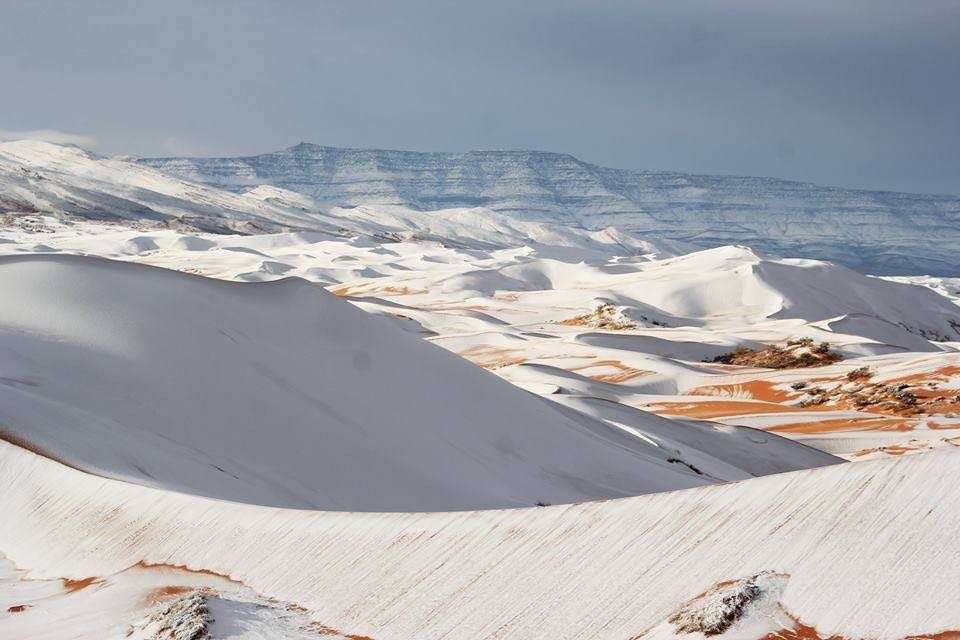 بالصور للمرّة الأولى منذ قرابة 40 عامًا.. الصحراء الكبرى ترتدي الثوب الأبيض في مشهد يحبس الأنفاس