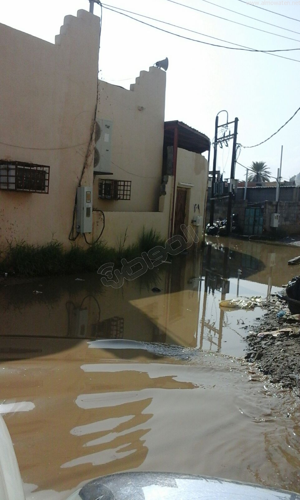 بالصور.. مياه الأمطار تُحاصر مسجداً بـ”حاكمة أبو عريش”