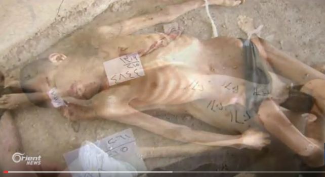بالفيديو.. مسلخ الأسد يُعدم 13 ألف معتقل في سجن صيدنايا