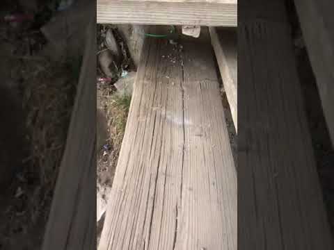 الجسر الخشبي بسودة عسير خطر يهدد المتنزهين