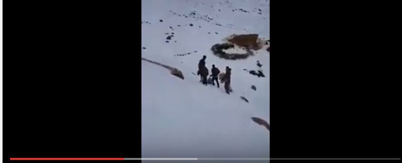 فيديو صادم.. خرجوا لرحلة ترفيهية فصادفتهم امرأة وأولادها وسط الجليد